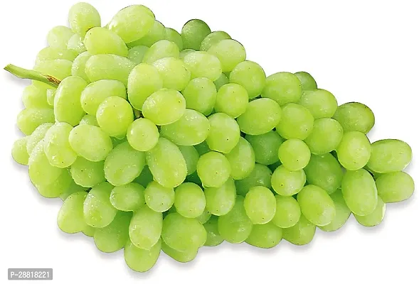 Baishnab  Green seedless Grape Fruit Plant Grapes P-thumb0