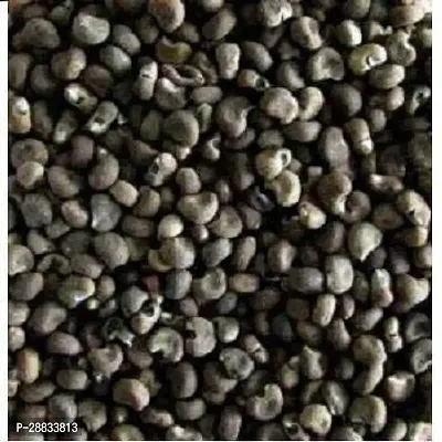 Baishnab Earth Seeds P125BHINDI27100PIECE-thumb2