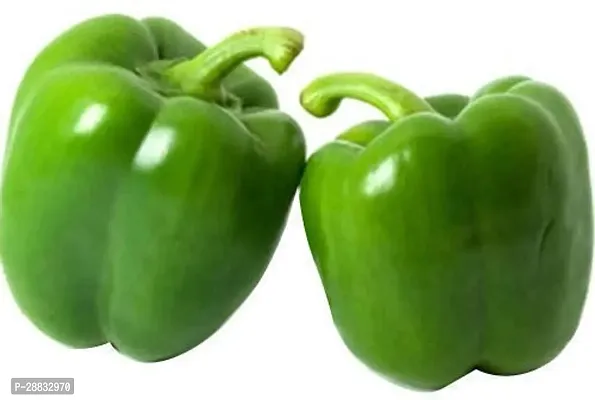 Baishnab Capsicum Seed 19 PsXR 73119PIECE-thumb0