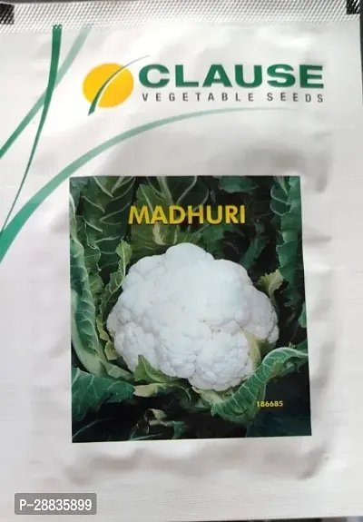 Baishnab Caoliflower Seeds 10gm RBMadhuri  10 gm10PIECE