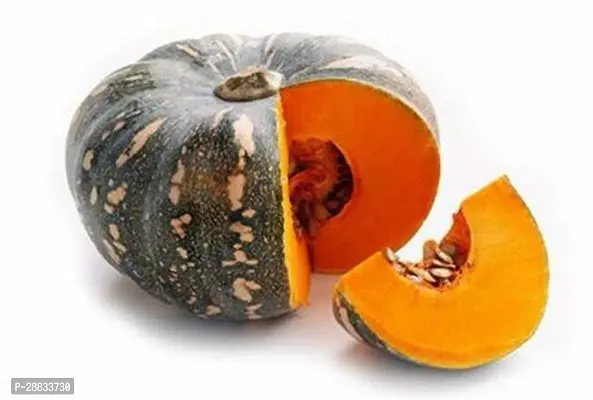 Baishnab Earth Seeds R 55PUMPKIN8100PIECE