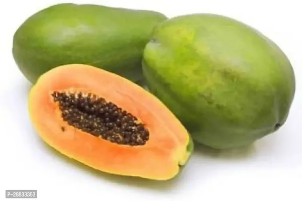 Baishnab Papaya seed 150 per packet mmmPP53  BEST QUALITY SEED OF PAPAYA  PAPITA PACK OF 150 SEEDS   GERMINATION IMPORTED SEED PACK OF 150 SEEDS150PIECE-thumb0