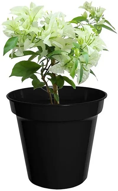 Best Selling Plant & Planters 