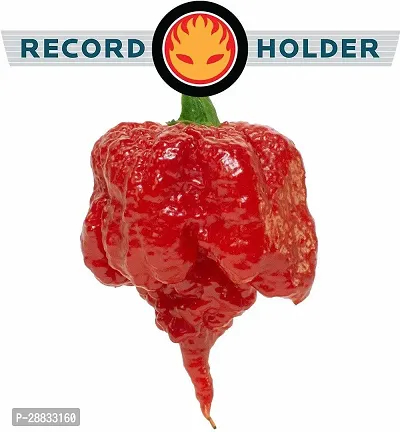 Baishnab chilli seed 30 ps ccdEarth Hopper Carolina Reaper Worlds Hottest Pepper Fresh Seeds30PIECE