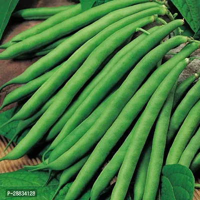 Baishnab BEAN SED ZW 50PSFrenchBean50Seeds50PIECE-thumb0