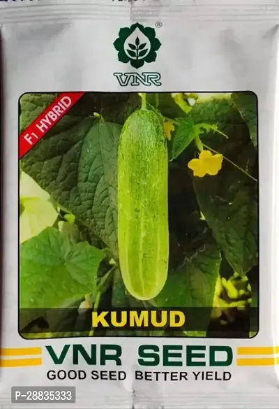 Baishnab Pu cucumber seedF3020PIECE