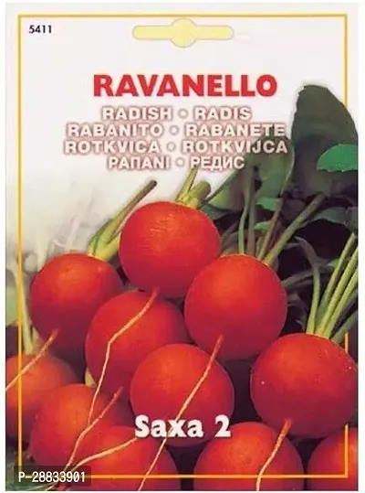 Baishnab Radish seed 250 per packet df Radish Red Round seeds   Ravanello Saxa 250 Seed250PIECE