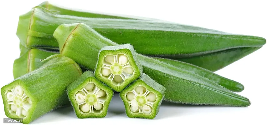 Baishnab Seed 1000per packet XF3461000 Green Okra 33171000PIECE-thumb0