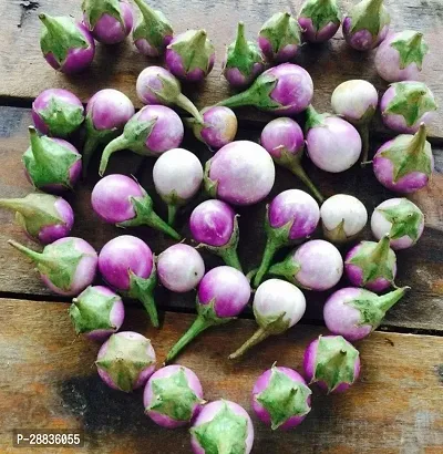 Baishnab Brinjal Seeds 150prpkBriNj 1709 150 Round White150PIECE