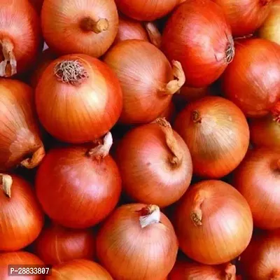 Baishnab Earth Seeds R 112ONION36100PIECE