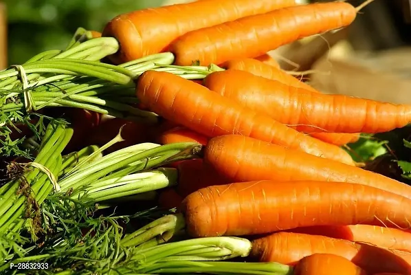 Baishnab Carrot Seed 10 PsNXX 44310PIECE