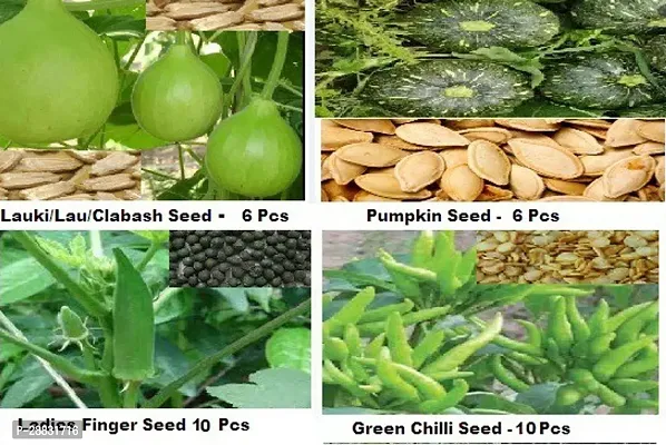 Baishnab 4 item seed 32 rbCombo Lauki Lau Clabash Seed6 per packet Pumpkin Seed6 per packet  Lady Finger Seed Bhindi lady finger Seed 10 per packet  Green Chilli Seed  10 per packet32PIECE-thumb0