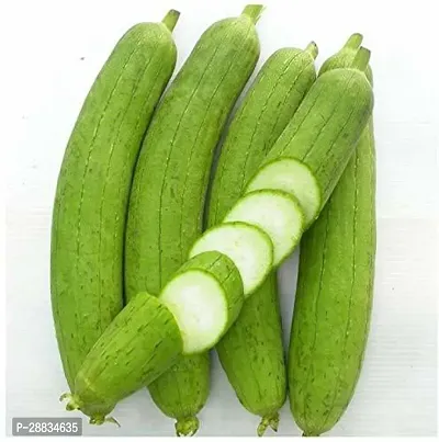 Baishnab Sponge gourd 100 per packet Sponge Gourd   F1 Hybrid   Organic Seeds100PIECE