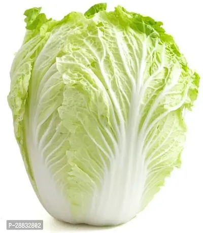 Baishnab Cabbage Seed 10 Ps.n3 70910PIECE-thumb0