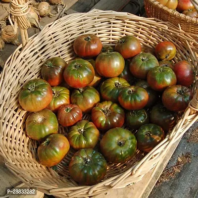 Baishnab tomato seed100 ps ftOrganic Seeds Non GMO Open Pollinated Purple Tomato Seeds100PIECE