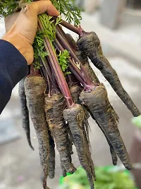 Baishnab Black Carrot seed 30 Ps+ AWM 037230PIECE-thumb1