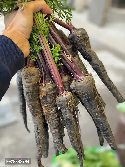 Baishnab Black Carrot seed 30 Ps+ AWM 037230PIECE-thumb2