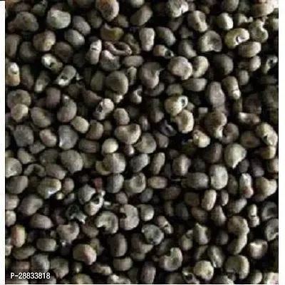 Baishnab Earth Seeds R 02BHINDI67100PIECE-thumb2