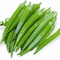 Baishnab Earth Seeds P13BT 10 F1 Okra Seeds 50 pcs50PIECE-thumb1