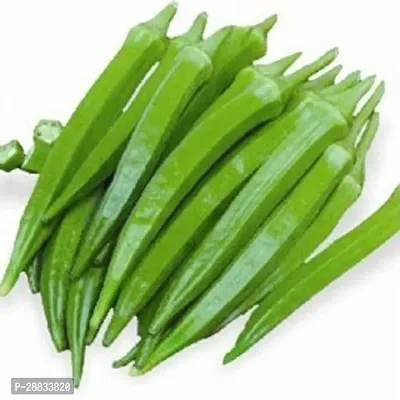 Baishnab Earth Seeds P13BT 10 F1 Okra Seeds 50 pcs50PIECE-thumb2