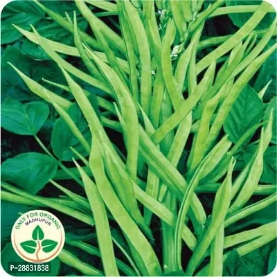 Baishnab Beans Seed 35 PsAS 69535PIECE