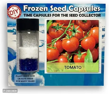 Baishnab Tomato seed 1000ps jhhj Tomato Frozen Seeds Time Capsule300 Seeds300PIECE