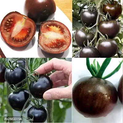 Baishnab tomato seed 100 p gf Hybrid Black Tomato Seeds100PIECE-thumb0