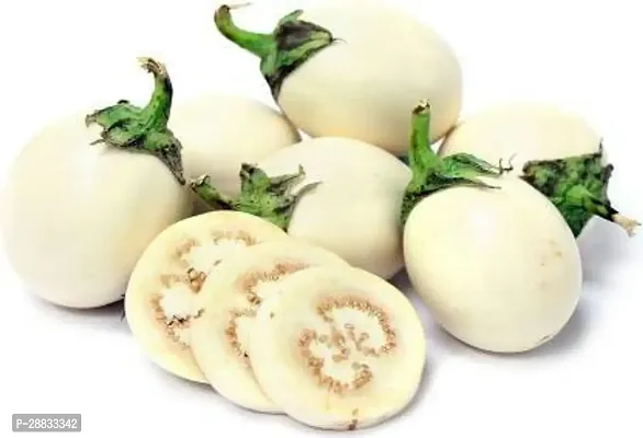 Baishnab brinjal seedWhiteBRINJL8750PIECE