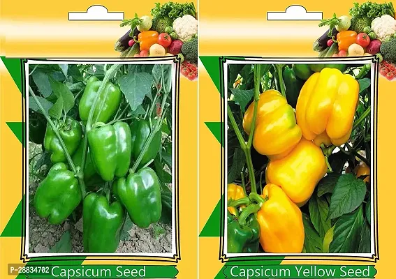 Baishnab Capsicum seed 200ps mc yGreen Capsicum and Capsicum Yellow Vegetables Seeds200PIECE