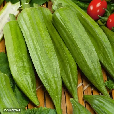 Baishnab Seed 250per packet XF271250 Green Okra 1974250PIECE