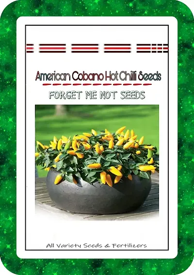 Best Selling Plant & Planters 