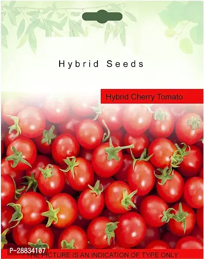 Baishnab tomato seed 100 ps vlopTomato Hybrid Vegetable Seeds100PIECE