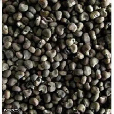 Baishnab Earth Seeds P99BHINDI51100PIECE