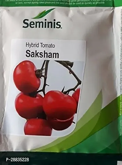 Baishnab Tomato Seed 10gm RB jfseminissakshamTomkb10gm10PIECE