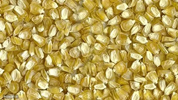 Baishnab Corn sed 50 nps bbhjCORN SEEDS 51550PIECE-thumb2