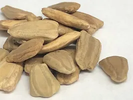 Baishnab Low Seed y 50psBottle Gourd Dhari Loki Hybrid Vegetables Seed 6547650PIECE-thumb1