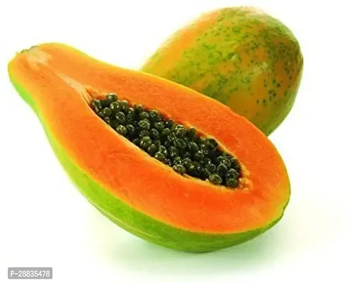 Baishnab Seed 20per packetXpl142Papaya SD6220PIECE