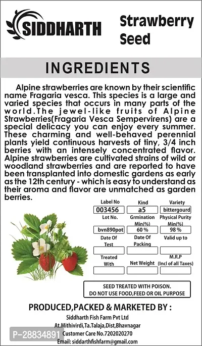 Baishnab Strawberry  seed 151ps mcSAS413151PIECE-thumb2