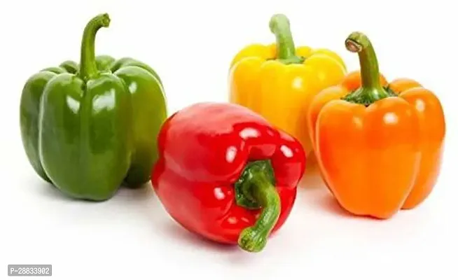 Baishnab Capsicum seed j 150 prpkMultycoloue bellpepper Capsicum 30 seeds30PIECE