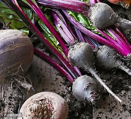 Baishnab bEET ROOT SEED 500PS MC GMYLWN 335 Organic Red Beetroot 500 Seeds500PIECE-thumb0