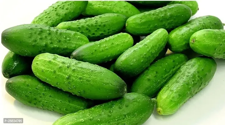 Baishnab Cucumber seed 70ps33265454570PIECE