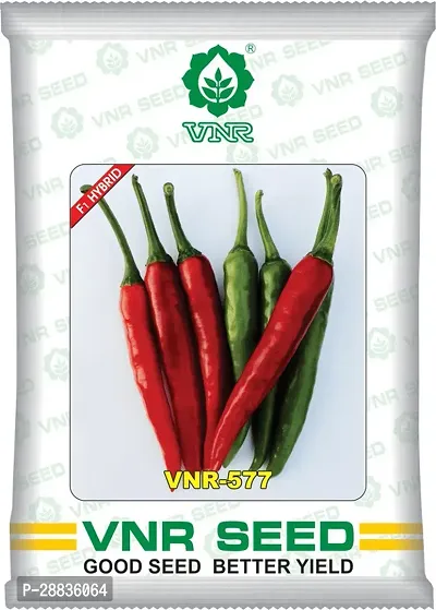 Baishnab Chilli seeds 5 gm per packetmir1265PIECE