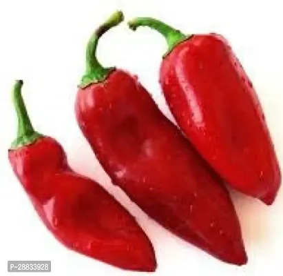 Baishnab Papay seed k 150sedCW18 CHILLI MIRCHI HYBRID SEED150PIECE