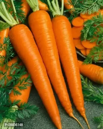 Baishnab c sedv 100ps jjHybrid  Carrot Seeds Around 100 Seeds Per Pack100PIECE