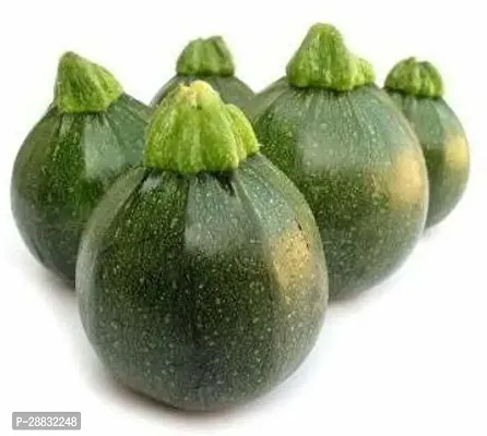 Baishnab kumro seeds  5 per paket rbChapan Kaddu Hybrid Vegetable Seeds   C33225PIECE-thumb2