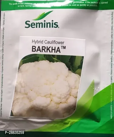 Baishnab Cauliflower Seeds 10g RBbarkha 10gm10PIECE