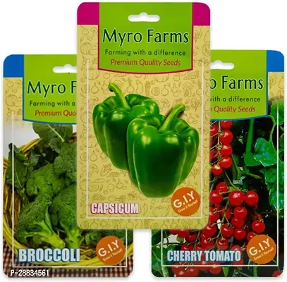 Baishnab capsicum seed cfBroccoli Cherry Tomato   Capsicum Seeds Combo Pack Of 350PIECE