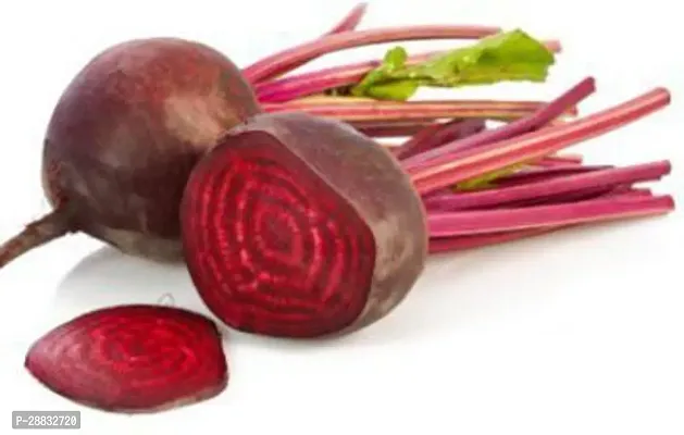 Baishnab Beetroot seed 50 per packet   rbPremium Vegetable Beetroot Seeds Op   Sow and Grow Fresh Healthy Seed in Your Garden Perfect for Home   Terrace Gardening High Germination Seeds50PIECE