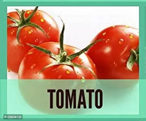 Baishnab tomato seed 125 ps xg Organic Tomato Seeds125 Seeds125PIECE-thumb0