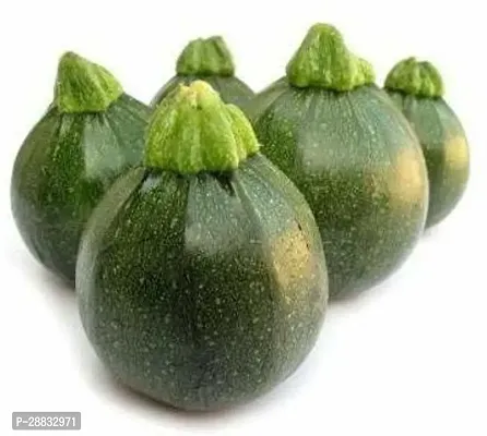 Baishnab kaddu seeds 20 per packetChapan Kaddu Hybrid Vegetable Seeds   C341820PIECE-thumb2